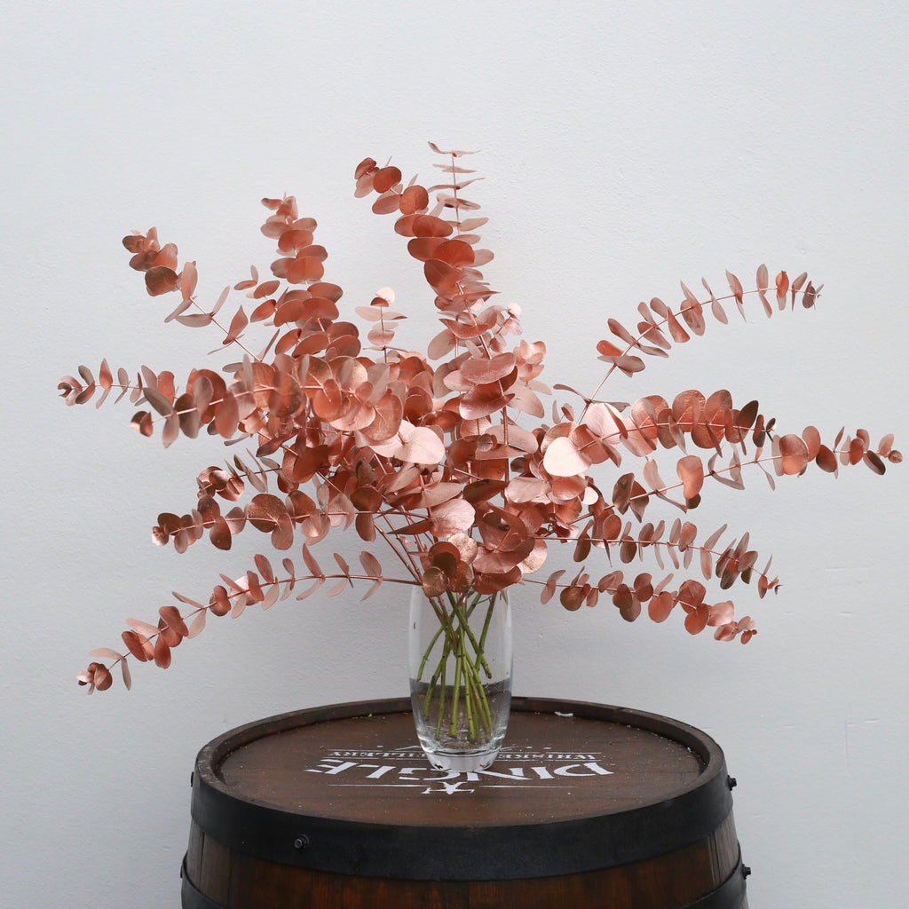 Copper Painted Eucalyptus Cinerea