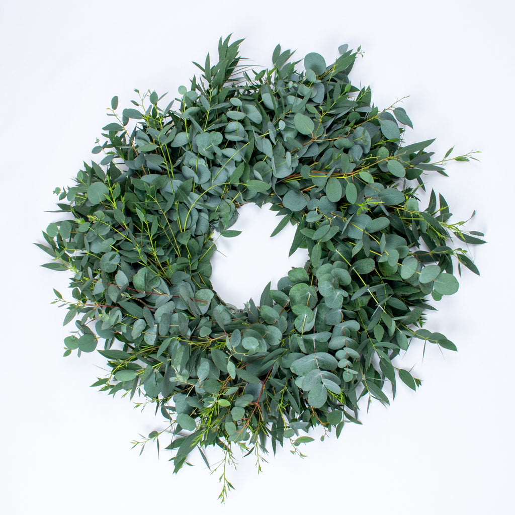 Mixed Eucalyptus Wreath on a White Background