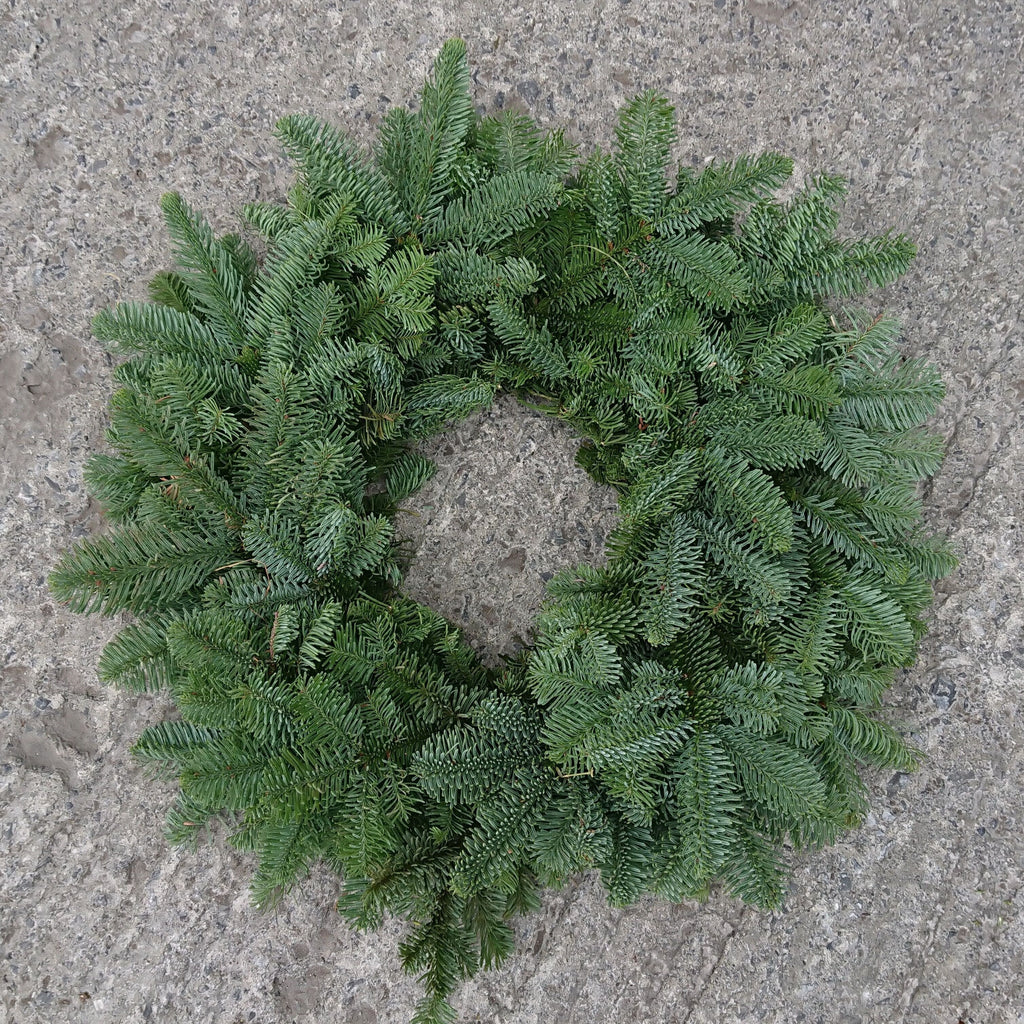 10" Nobilis Fir Wreath - Irish Green Guys